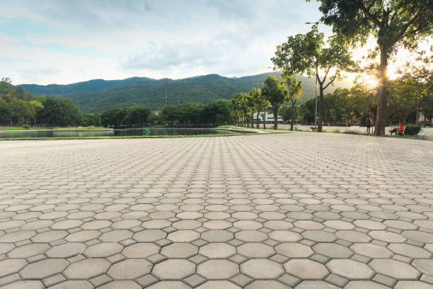 Best Residential Driveway Paver Services  in Perryville, MO