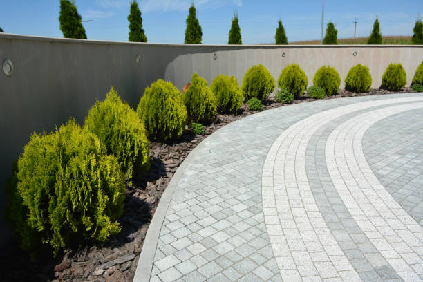 Best Best Driveway Pavers  in Perryville, MO